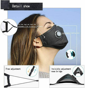 Reusable Mask